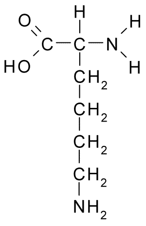 Fórmula de estrutura da Lisina