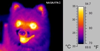 imagens térmicas