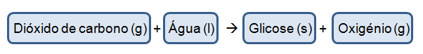 reação química que traduz a fotossíntese