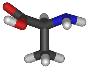 Modelo molecular da Alanina