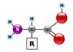 Estrutura geral de um 
aminoácido