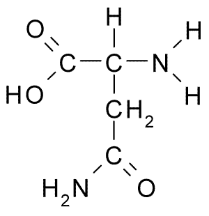 Fórmula de estrutura da Asparagina