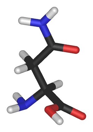 Modelo molecular da Asparagina