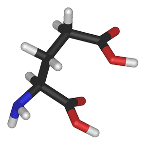 Modelo molecular do Glutamato
