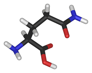 Modelo molecular da Glutamina