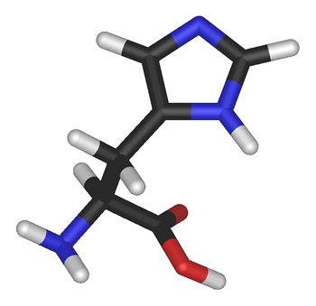 Modelo molecular da Histidina