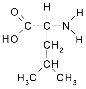 Fórmula de estrutura da Leucina
