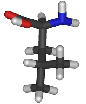 Modelo molecular da Leucina