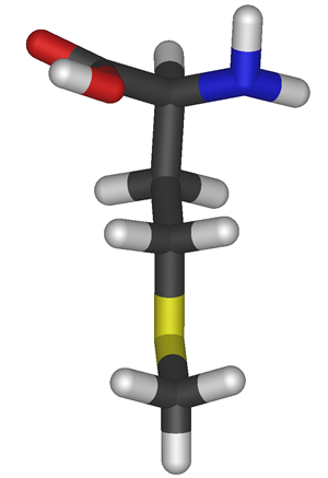 Modelo molecular da Metionina