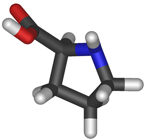 Modelo molecular da Prolina