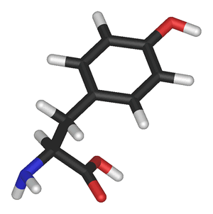 Modelo molecular da Tirosina