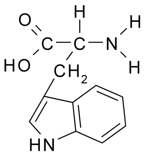 Fórmula de estrutura do Triptofano