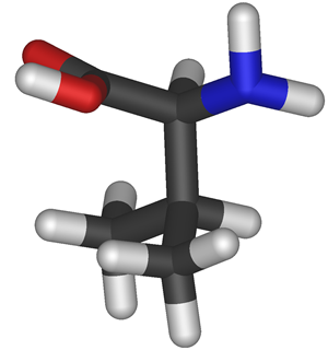 Modelo molecular da Valina