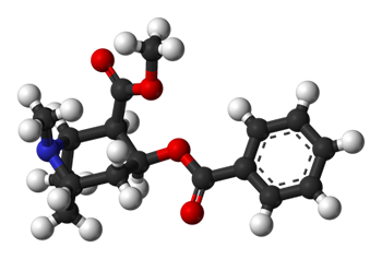Modelo tridimensional da molécula de cocaína