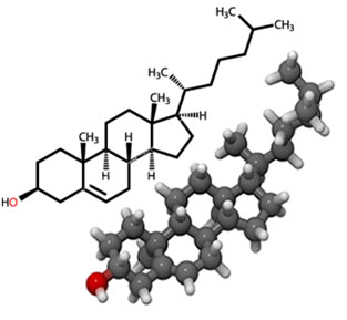 Modelo tridimensional da molécula de colesterol